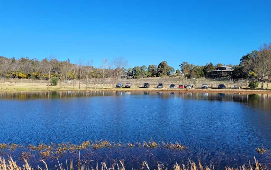 Hidden Creek Winery Cafe Vineyard, Ballandean, QLD