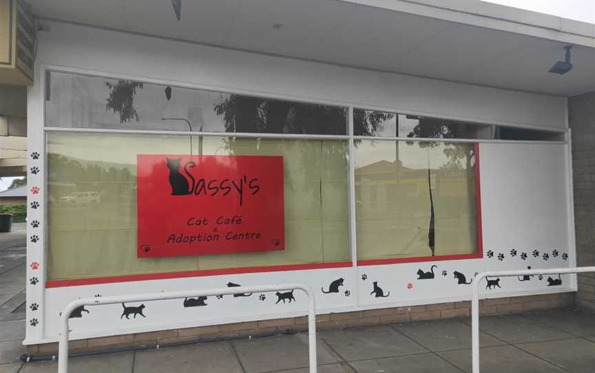 Sassy's Cat Cafe and Adoption Centre, Felixstow, SA