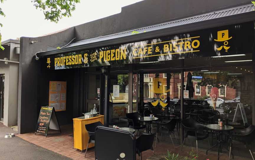 Professor and the Pigeon, Healesville, VIC