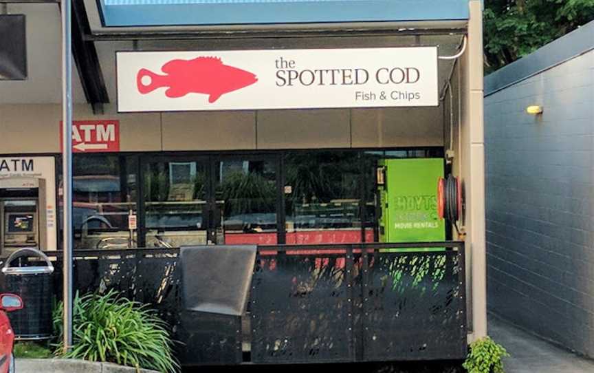 Spotted Cod - Wavell Heights, Wavell Heights, QLD