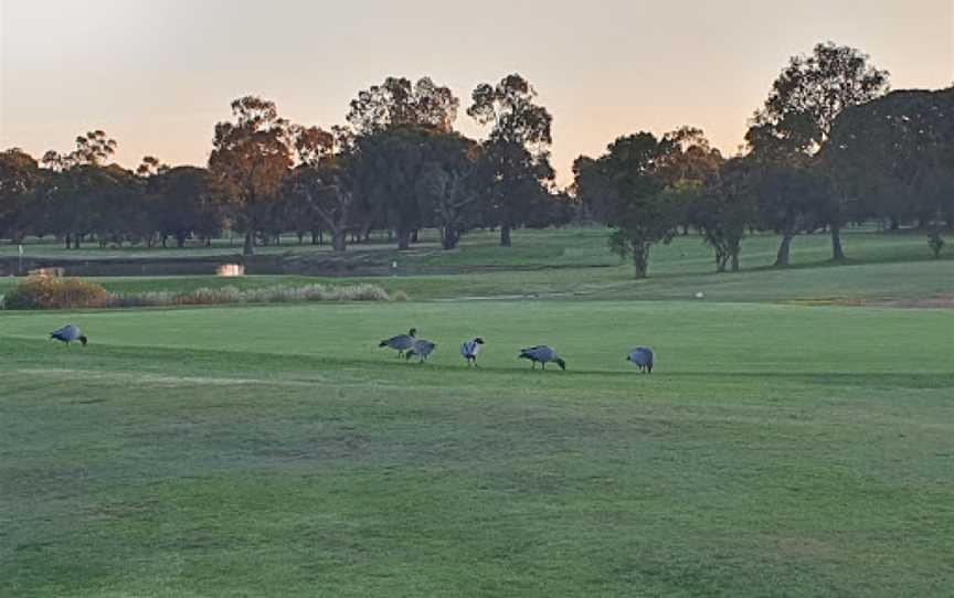 Rich River Golf Club, Moama, NSW