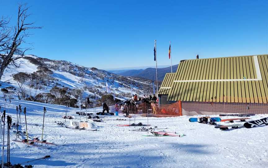 Black Sallees, Thredbo, NSW