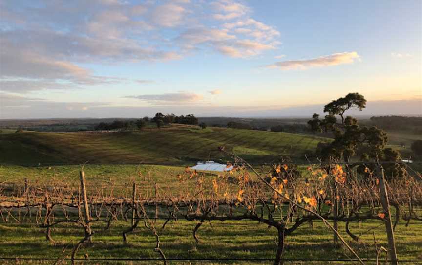 Green Door Wines, Henty, WA