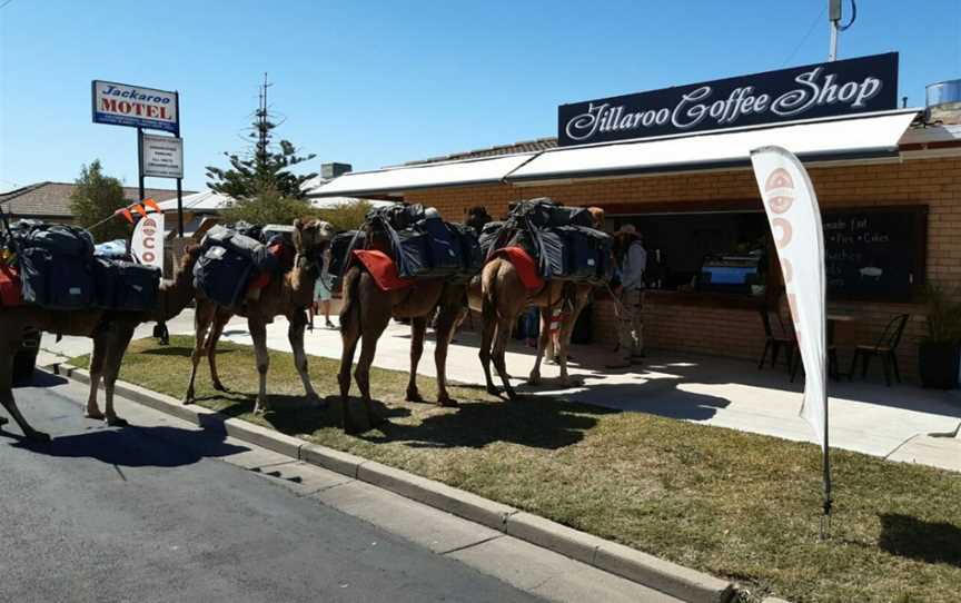 Jillaroo Coffee Shop - Cafe, Moree, NSW