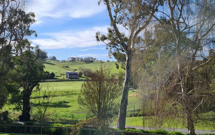 Kenton Valley Cherries and the Cherry Shed Cafe, Gumeracha, SA