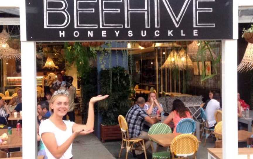 The Beehive Honeysuckle, Newcastle, NSW