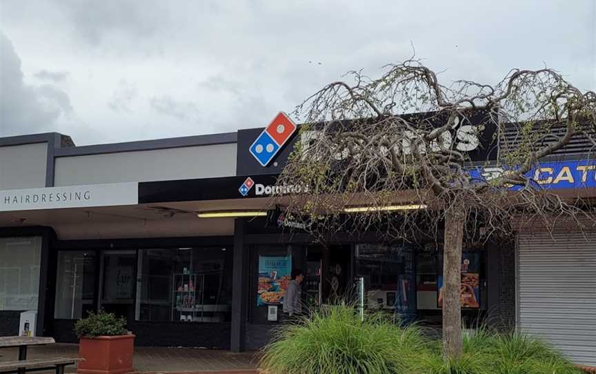 Domino's Pizza Stokes Valley, Stokes Valley, New Zealand