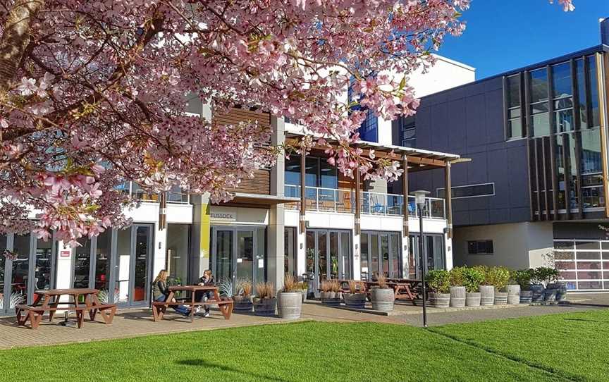 Tussock Bar and Cafe, Mount Cook, New Zealand