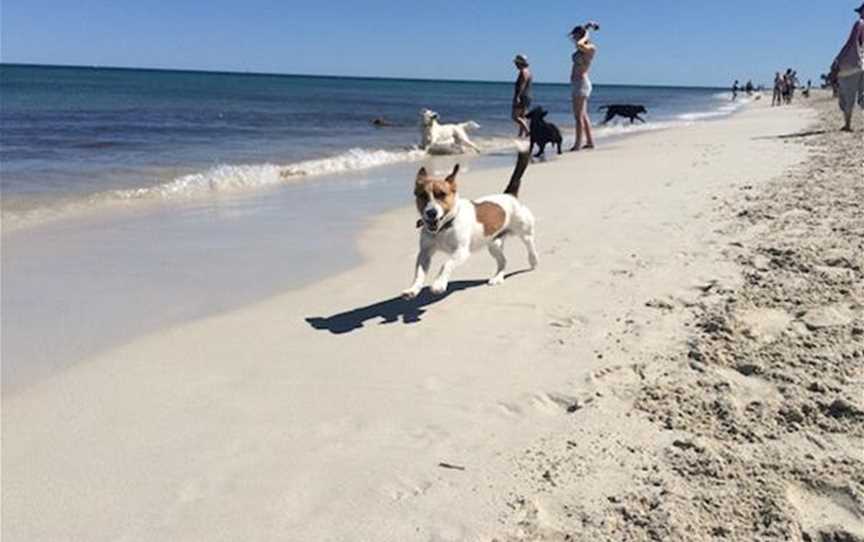 Whitfords Dog Beach, Attractions in Hillarys