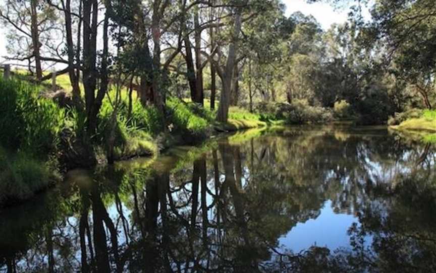 Preston River Loop And Indigenous Walk Trail, Attractions in Donnybrook