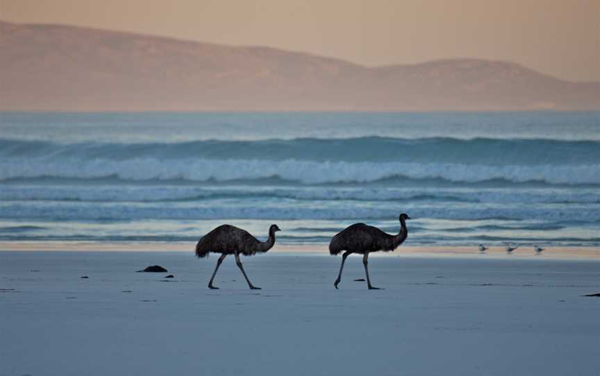 Cape Arid National Park