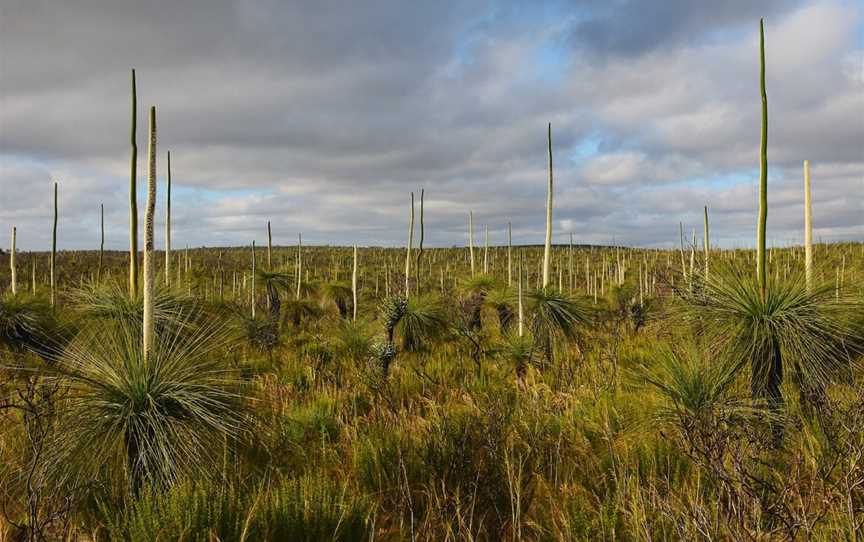 Frank Hann National Park