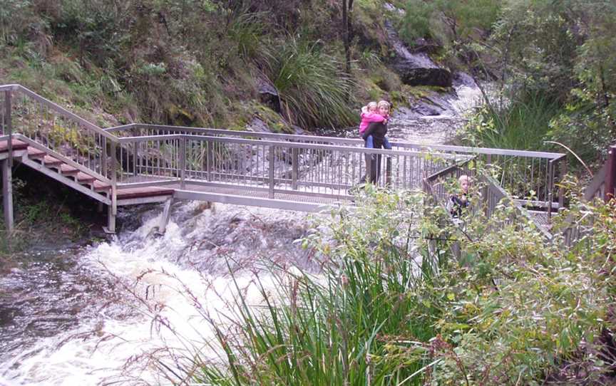 Greater Beedelup National Park