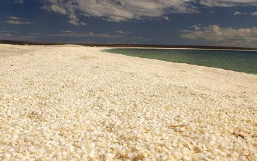 Shell Beach Conservation Park