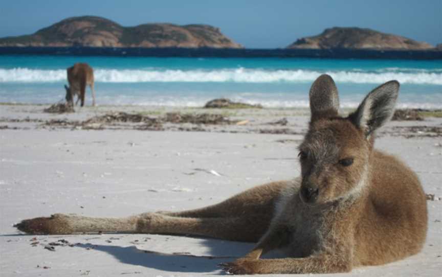 Lucky Bay Campground