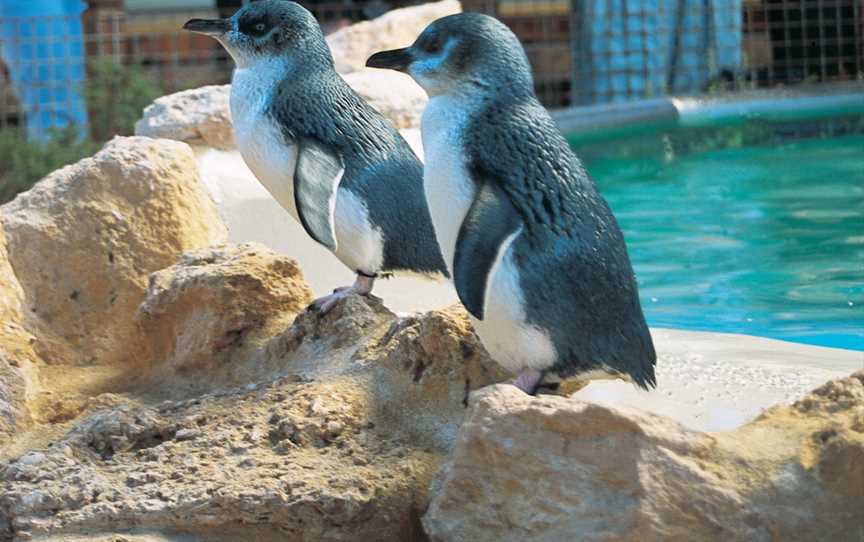 Penguin Island Discovery Centre