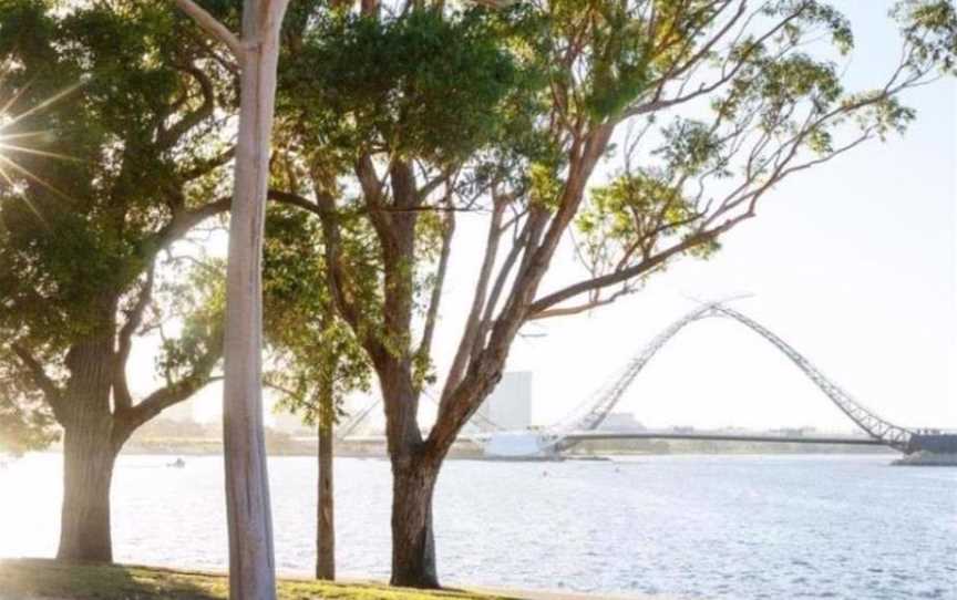 Mardalup Park, Attractions in East Perth