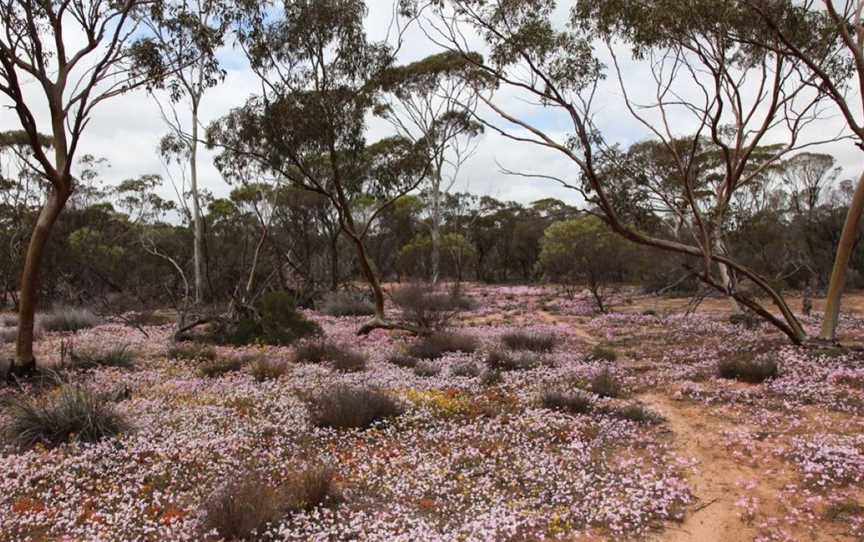 Korrelocking Nature Reserve, Attractions in Korrelocking