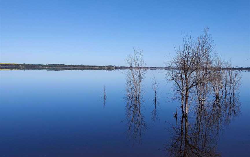 Dumbleyung Lake Nature Reserve, Attractions in Ballaying