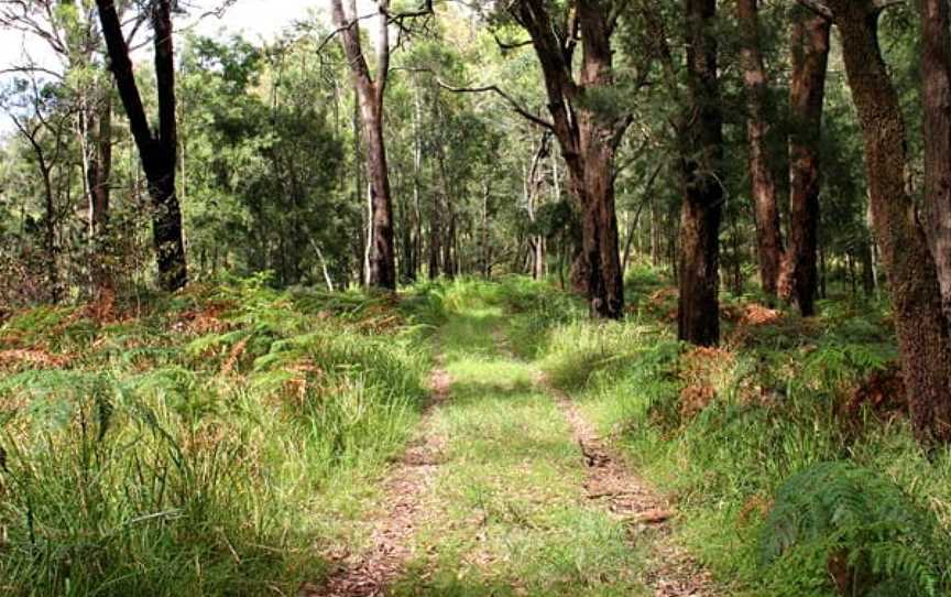 248 Trail, Glenworth Valley, NSW