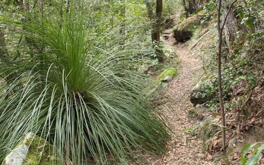 11 Kilometre Walking Track, Gunderman, NSW