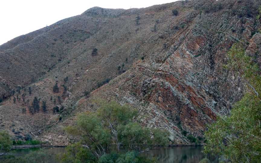 Aroona Dam Sanctuary, Leigh Creek, SA