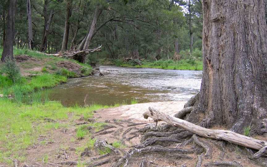Bangadilly National Park, Joadja, NSW