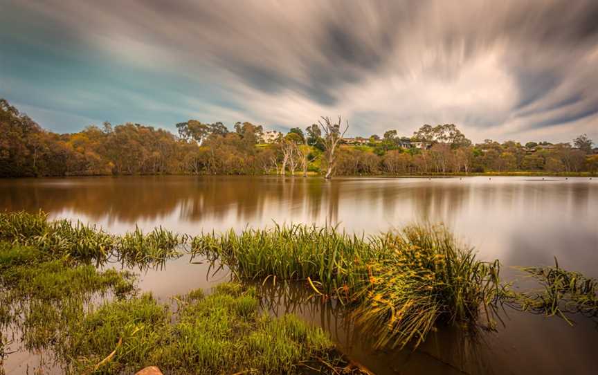 Banyule State Forest Walking Trail, Echuca, VIC