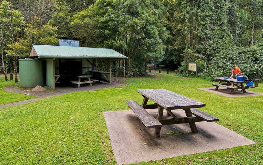 Bar Mountain picnic area, Upper Horseshoe Creek, NSW