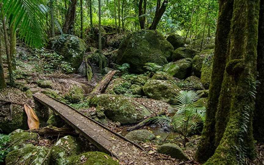 Bar Mountain picnic area, Upper Horseshoe Creek, NSW