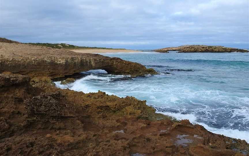 Beachport Conservation Park, Beachport, SA