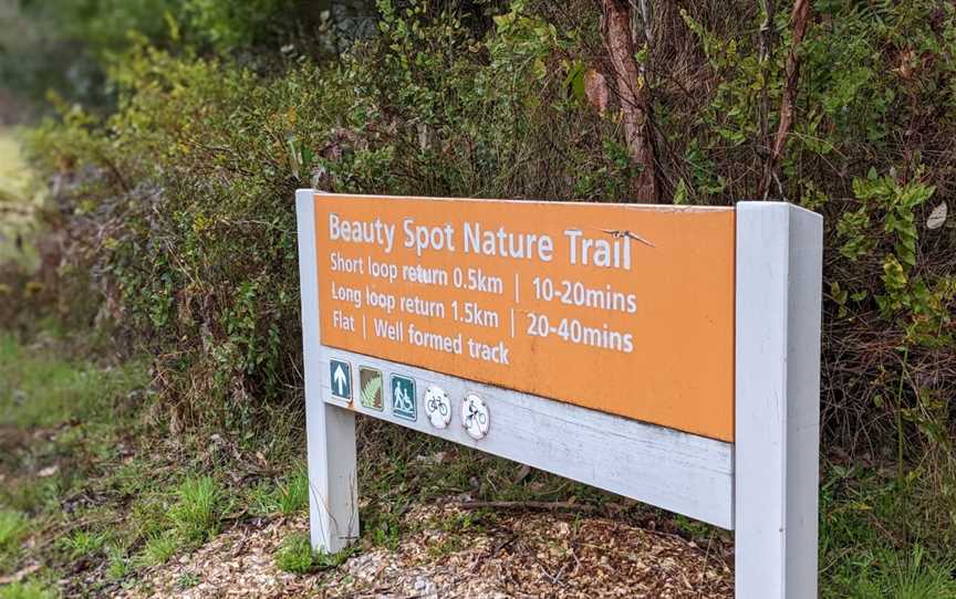 Beauty Spot Trail, Marysville, VIC