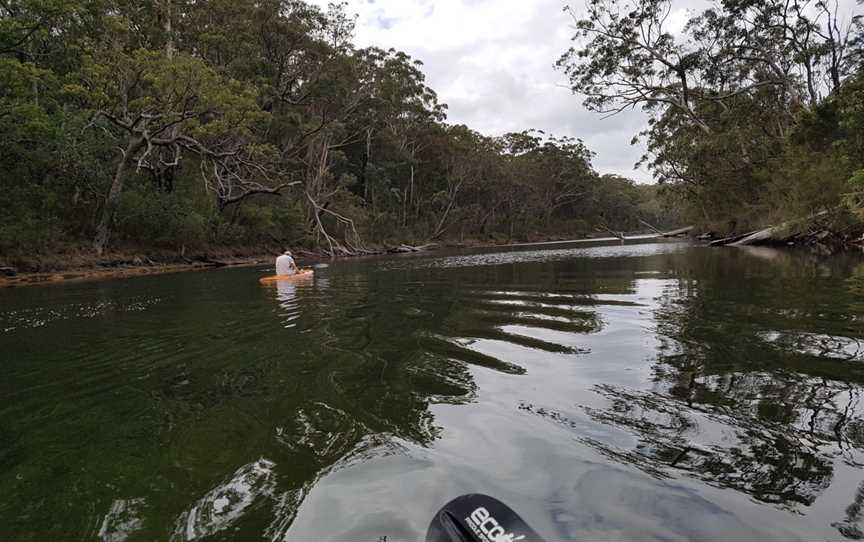 Berrara Creek, Berrara, NSW