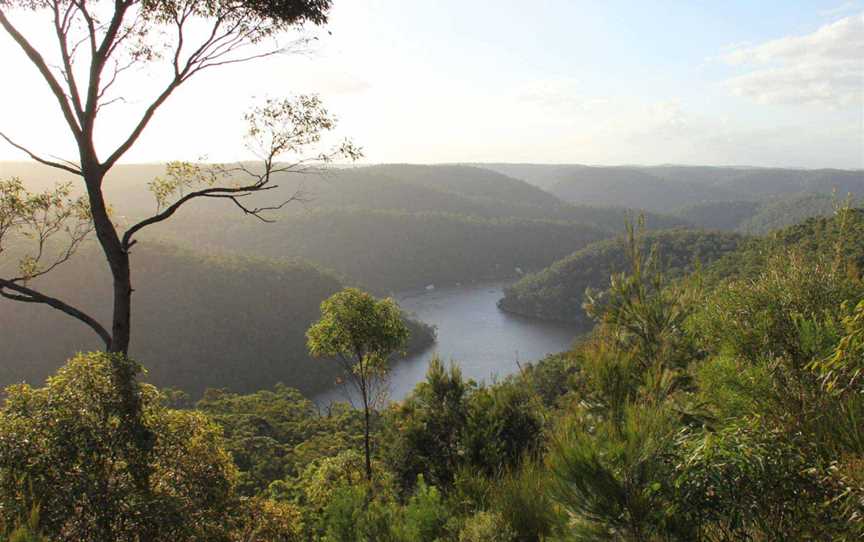 Berowra Valley National Park, Hornsby Heights, NSW