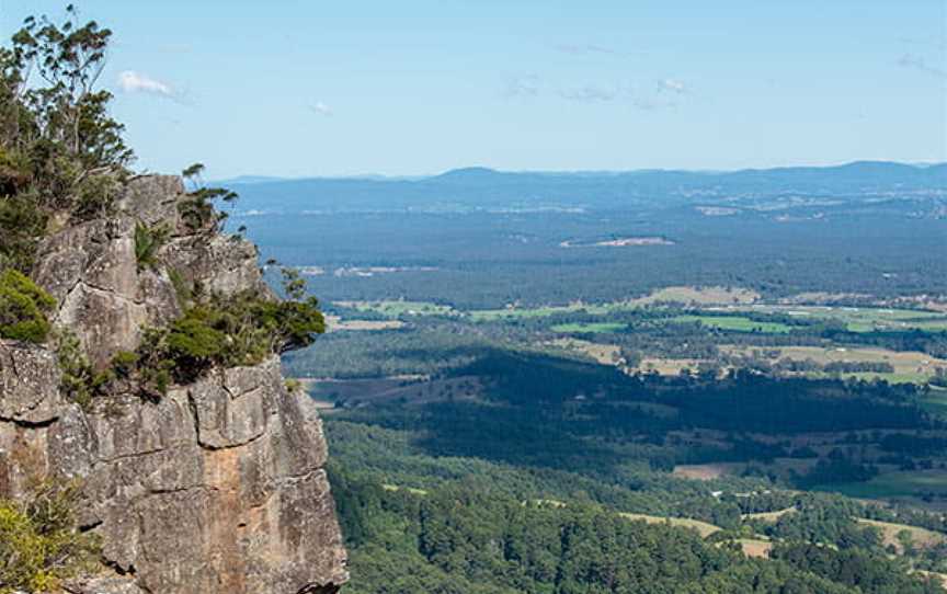 Big Nellie lookout and picnic area, Lansdowne Forest, NSW