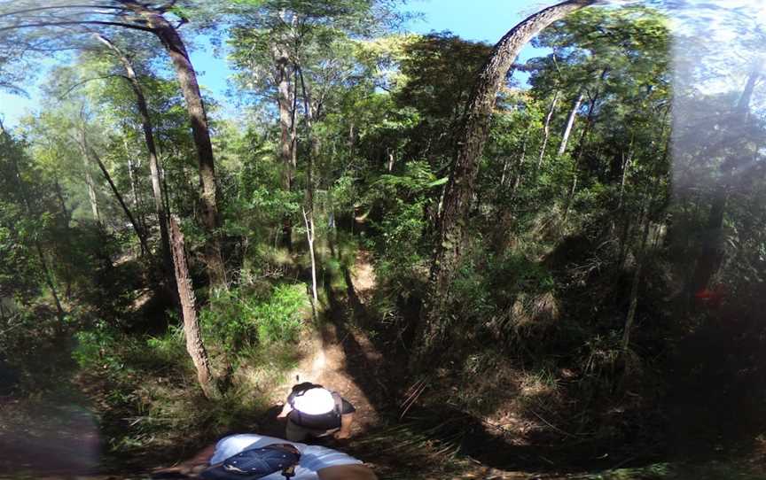 Boggy Creek Walk, Whian Whian, NSW