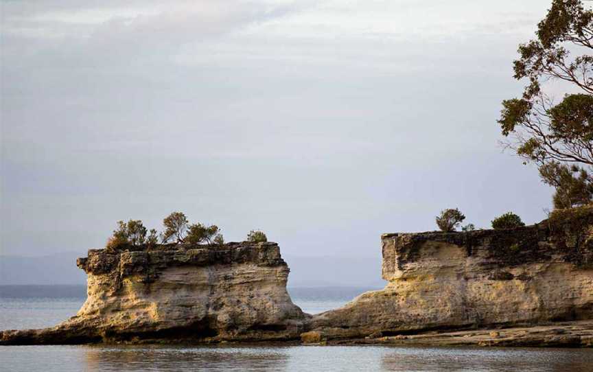 Booderee National Park: Munyunga Waraga Dhugan Walking Trail, Jervis Bay, NSW