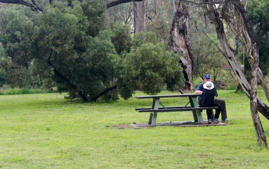 Borenore picnic area, Borenore, NSW