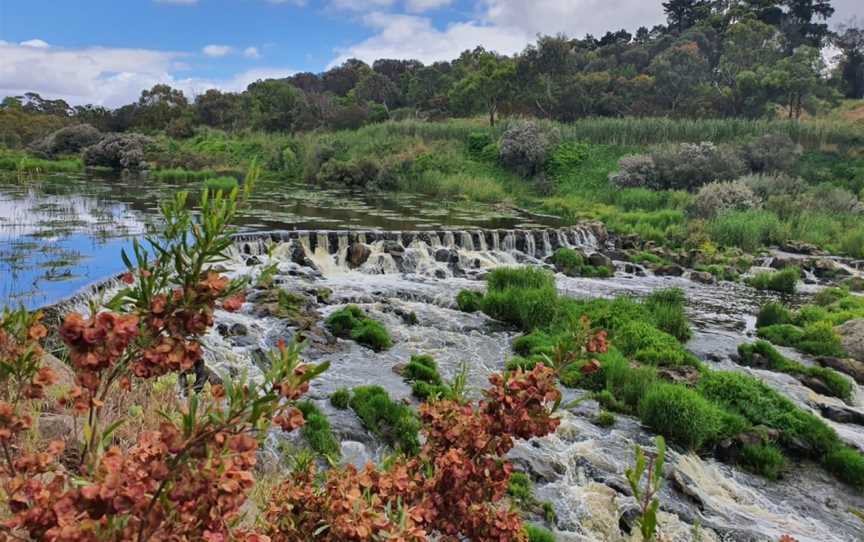 Buckley Falls, Nature & Trails in Highton
