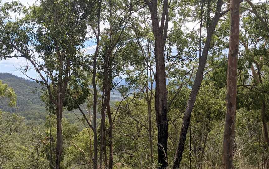 Bulburin National Park, Dalga, QLD