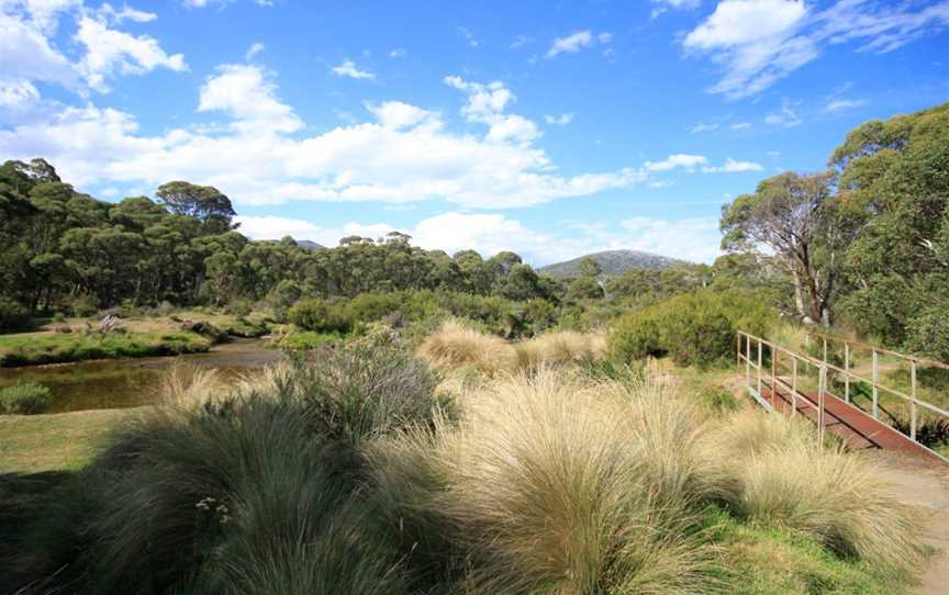 Bullocks Walking Track, Kosciuszko National Park, NSW