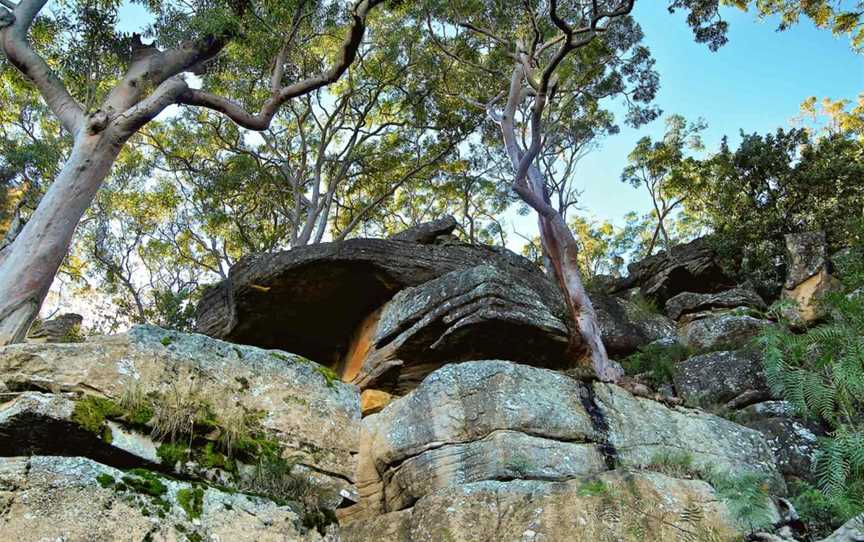 Burrawang Reach picnic area, Picnic Point, NSW