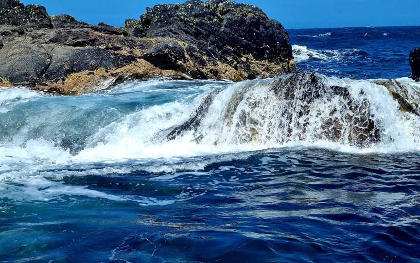 Bushrangers Bay, Cape Schanck, VIC