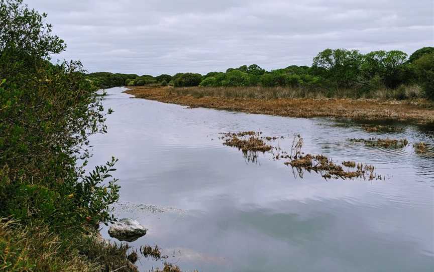 Butcher Gap Conservation Park, Sandy Grove, SA