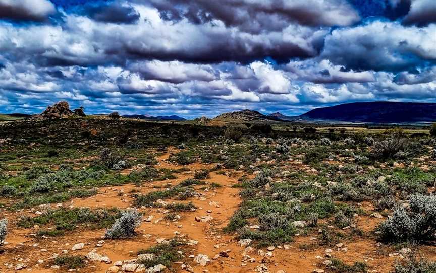 Castle Rock walk and Lookout, Hawker, SA