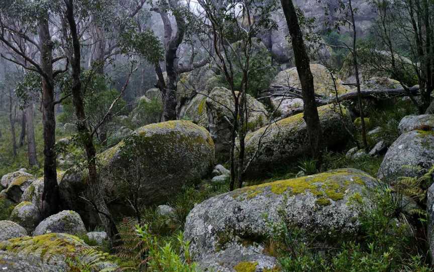 Cathedral Rock Track, Ebor, NSW