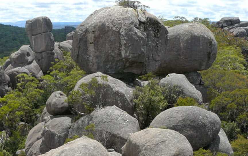 Cathedral Rock Track, Ebor, NSW