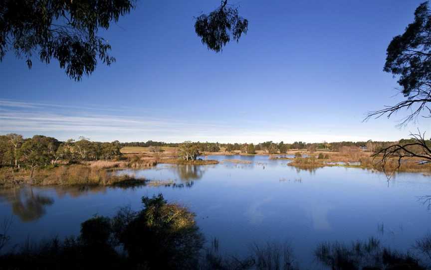Cecil Hoskins Nature Reserve, Moss Vale, NSW