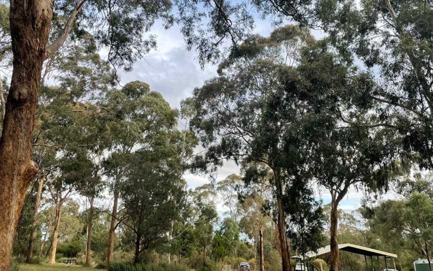 Churchill National Park, Lysterfield South, VIC