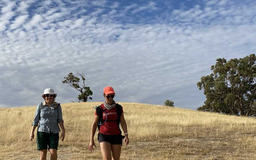 Clare Valley Wine and Wilderness Trail, Clare, SA